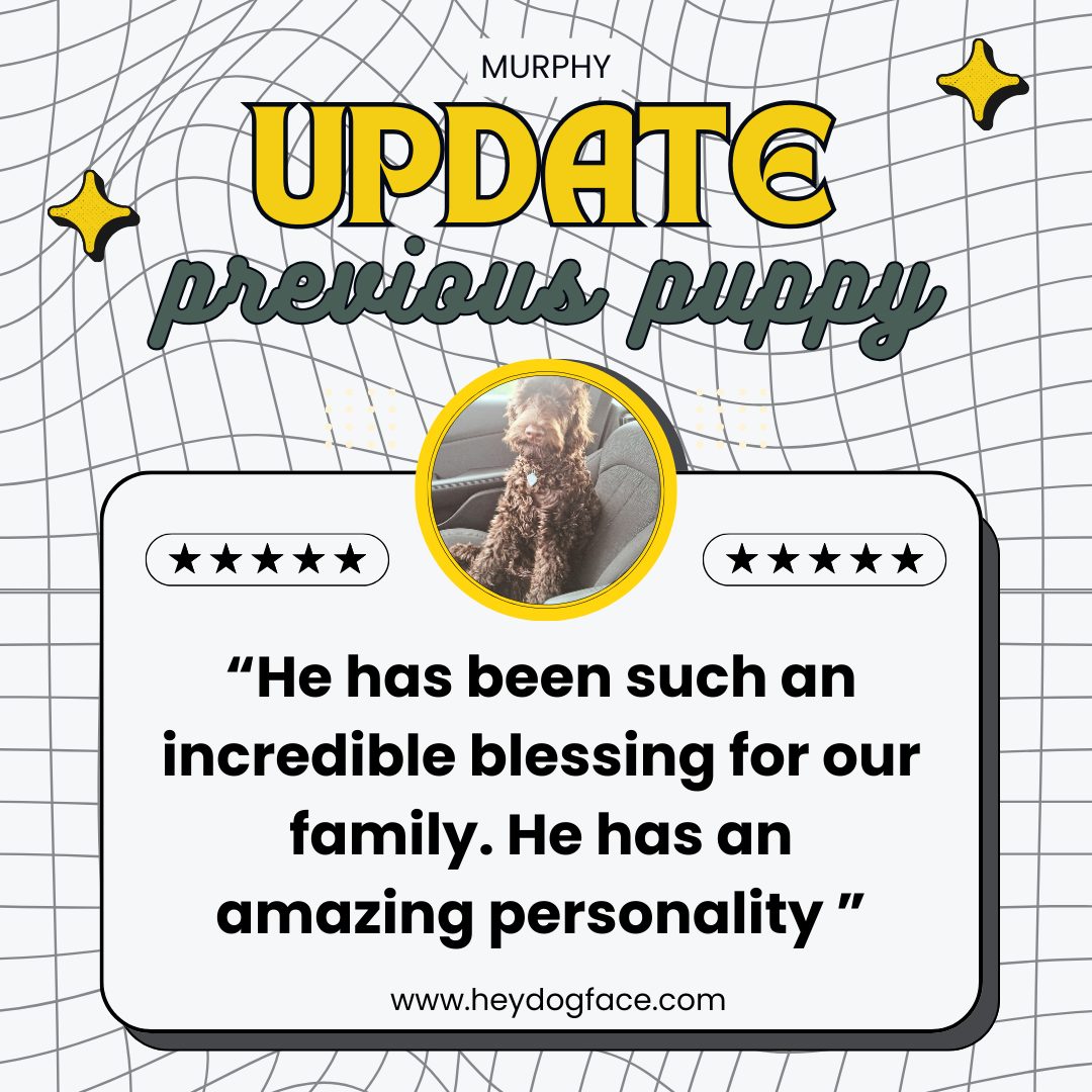 Murphy Update