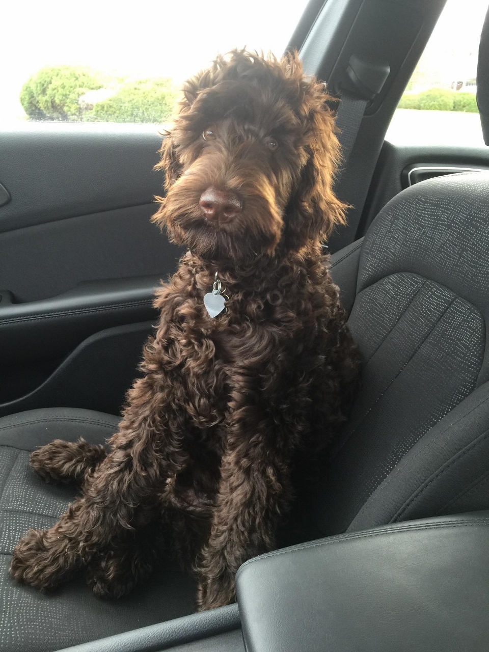 Murphy Update Pics