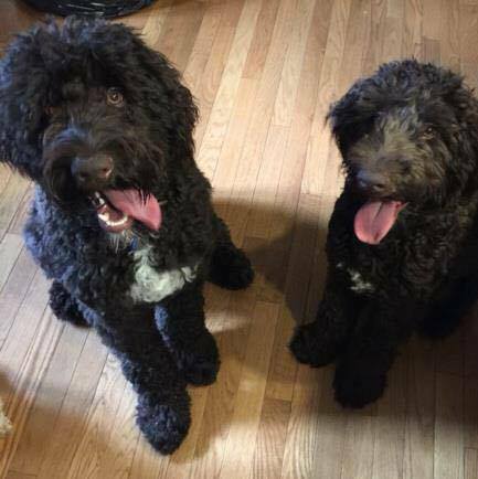 Mowgli Update Pics