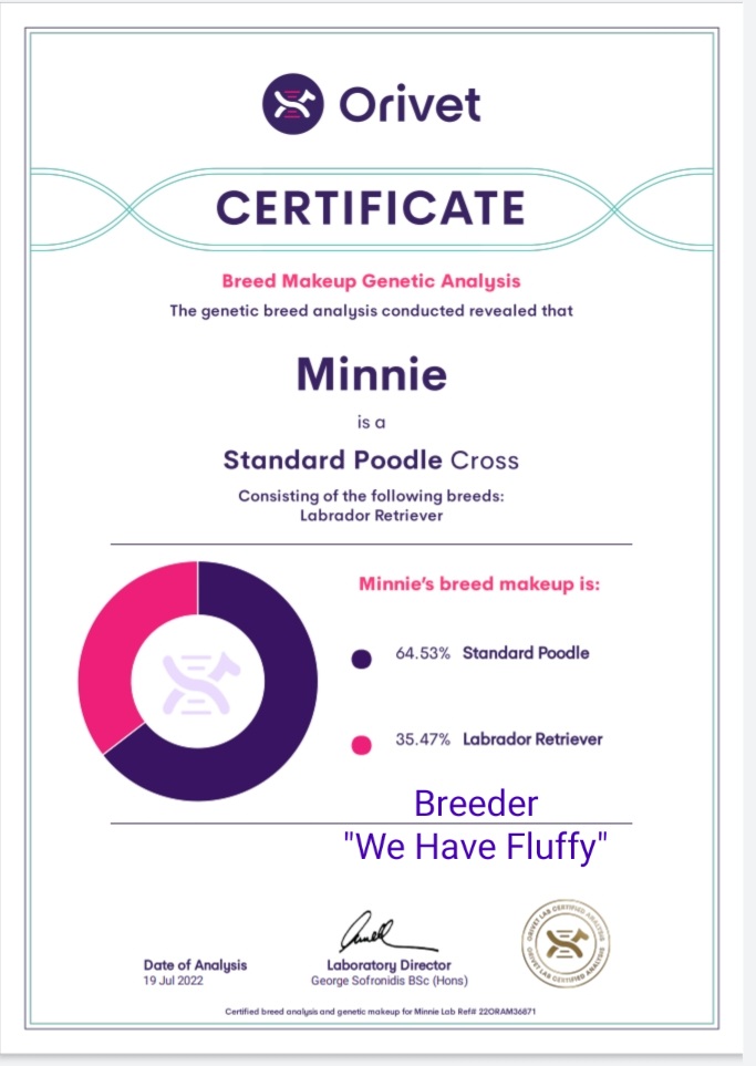 Minley DNA Results